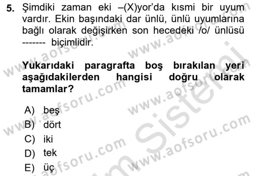 Türkçe Biçim Bilgisi Dersi 2021 - 2022 Yılı Yaz Okulu Sınav Soruları 5. Soru