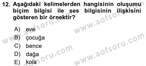 Türkçe Biçim Bilgisi Dersi 2022 - 2023 Yılı Yaz Okulu Sınav Soruları 12. Soru