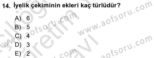 Türkçe Biçim Bilgisi Dersi 2022 - 2023 Yılı Yaz Okulu Sınav Soruları 14. Soru