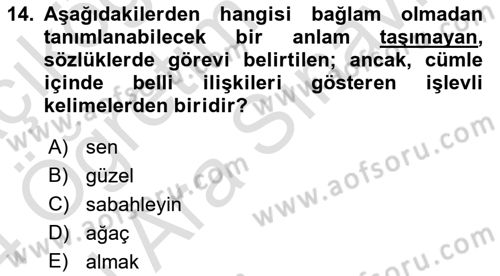 Türkçe Biçim Bilgisi Dersi 2023 - 2024 Yılı (Vize) Ara Sınav Soruları 14. Soru