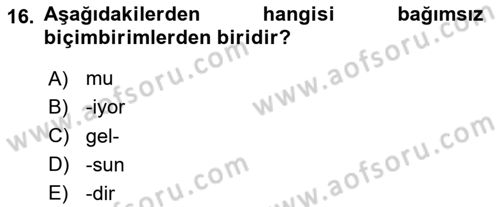 Türkçe Biçim Bilgisi Dersi 2023 - 2024 Yılı (Vize) Ara Sınav Soruları 16. Soru