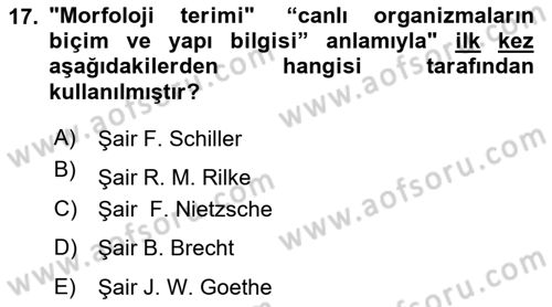 Türkçe Biçim Bilgisi Dersi 2023 - 2024 Yılı (Vize) Ara Sınav Soruları 17. Soru