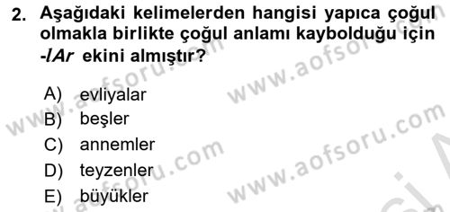 Türkçe Biçim Bilgisi Dersi 2023 - 2024 Yılı (Vize) Ara Sınav Soruları 2. Soru