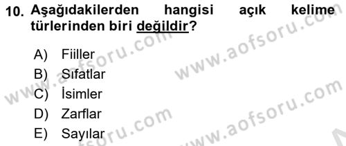 Türkçe Biçim Bilgisi Dersi 2023 - 2024 Yılı (Final) Dönem Sonu Sınav Soruları 10. Soru