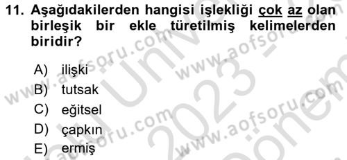 Türkçe Biçim Bilgisi Dersi 2023 - 2024 Yılı (Final) Dönem Sonu Sınav Soruları 11. Soru