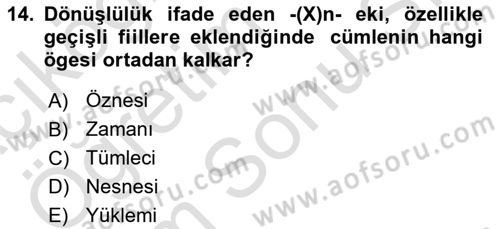 Türkçe Biçim Bilgisi Dersi 2023 - 2024 Yılı (Final) Dönem Sonu Sınav Soruları 14. Soru