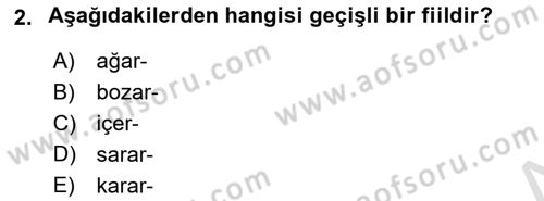 Türkçe Biçim Bilgisi Dersi 2023 - 2024 Yılı (Final) Dönem Sonu Sınav Soruları 2. Soru