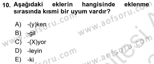 Türkçe Biçim Bilgisi Dersi 2023 - 2024 Yılı Yaz Okulu Sınav Soruları 10. Soru