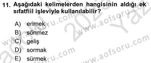 Türkçe Biçim Bilgisi Dersi 2023 - 2024 Yılı Yaz Okulu Sınav Soruları 11. Soru