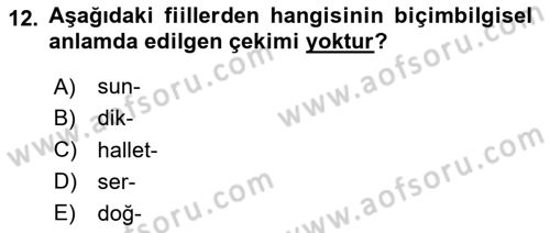 Türkçe Biçim Bilgisi Dersi 2023 - 2024 Yılı Yaz Okulu Sınav Soruları 12. Soru