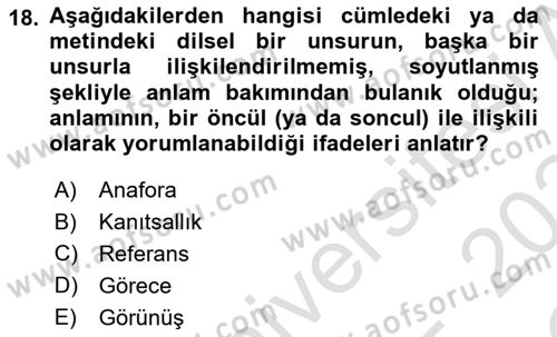 Türkçe Biçim Bilgisi Dersi 2023 - 2024 Yılı Yaz Okulu Sınav Soruları 18. Soru