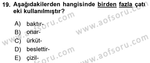 Türkçe Biçim Bilgisi Dersi 2023 - 2024 Yılı Yaz Okulu Sınav Soruları 19. Soru