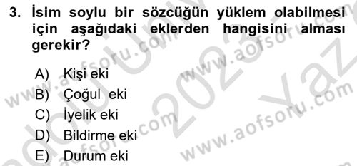 Türkçe Biçim Bilgisi Dersi 2023 - 2024 Yılı Yaz Okulu Sınav Soruları 3. Soru