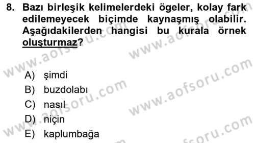 Türkçe Biçim Bilgisi Dersi 2023 - 2024 Yılı Yaz Okulu Sınav Soruları 8. Soru