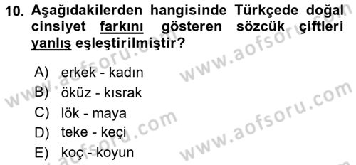 Türkçe Biçim Bilgisi Dersi 2024 - 2025 Yılı (Vize) Ara Sınav Soruları 10. Soru