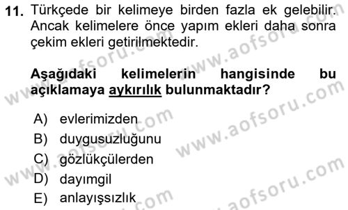 Türkçe Biçim Bilgisi Dersi 2024 - 2025 Yılı (Vize) Ara Sınav Soruları 11. Soru