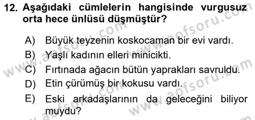 Türkçe Biçim Bilgisi Dersi 2024 - 2025 Yılı (Vize) Ara Sınav Soruları 12. Soru