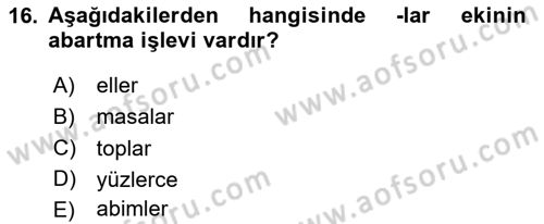 Türkçe Biçim Bilgisi Dersi 2024 - 2025 Yılı (Vize) Ara Sınav Soruları 16. Soru