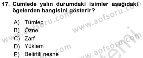 Türkçe Biçim Bilgisi Dersi 2024 - 2025 Yılı (Vize) Ara Sınav Soruları 17. Soru