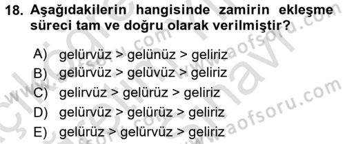 Türkçe Biçim Bilgisi Dersi 2024 - 2025 Yılı (Vize) Ara Sınav Soruları 18. Soru
