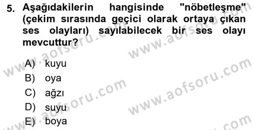 Türkçe Biçim Bilgisi Dersi 2024 - 2025 Yılı (Vize) Ara Sınav Soruları 5. Soru