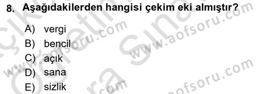 Türkçe Biçim Bilgisi Dersi 2024 - 2025 Yılı (Vize) Ara Sınav Soruları 8. Soru