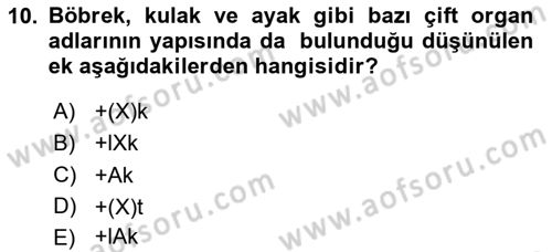 Türkçe Biçim Bilgisi Dersi 2024 - 2025 Yılı (Final) Dönem Sonu Sınav Soruları 10. Soru