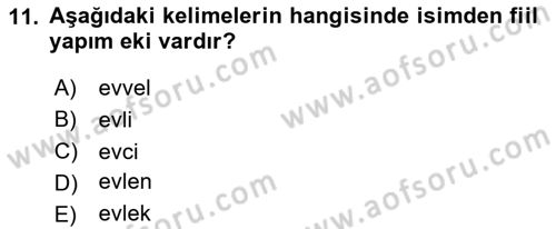 Türkçe Biçim Bilgisi Dersi 2024 - 2025 Yılı (Final) Dönem Sonu Sınav Soruları 11. Soru