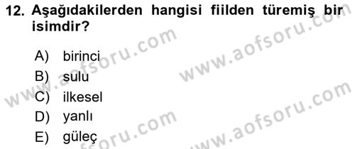 Türkçe Biçim Bilgisi Dersi 2024 - 2025 Yılı (Final) Dönem Sonu Sınav Soruları 12. Soru