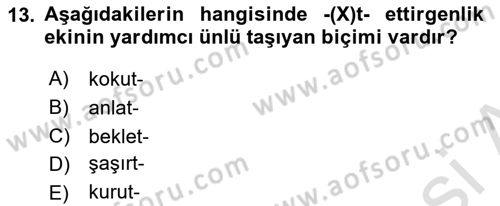 Türkçe Biçim Bilgisi Dersi 2024 - 2025 Yılı (Final) Dönem Sonu Sınav Soruları 13. Soru