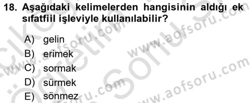 Türkçe Biçim Bilgisi Dersi 2024 - 2025 Yılı (Final) Dönem Sonu Sınav Soruları 18. Soru