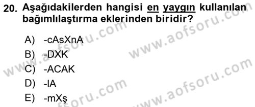 Türkçe Biçim Bilgisi Dersi 2024 - 2025 Yılı (Final) Dönem Sonu Sınav Soruları 20. Soru