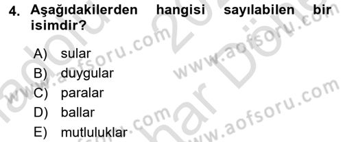 Türkçe Biçim Bilgisi Dersi 2024 - 2025 Yılı (Final) Dönem Sonu Sınav Soruları 4. Soru
