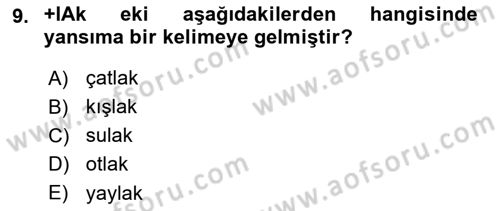 Türkçe Biçim Bilgisi Dersi 2024 - 2025 Yılı (Final) Dönem Sonu Sınav Soruları 9. Soru
