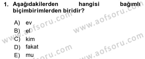 Türkçe Biçim Bilgisi Dersi 2024 - 2025 Yılı Yaz Okulu Sınav Soruları 1. Soru