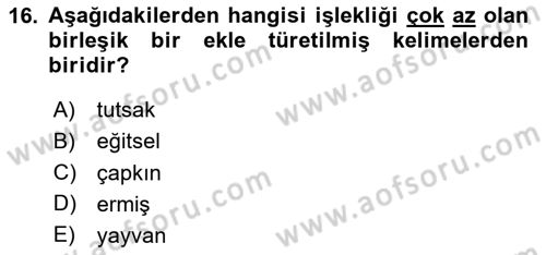 Türkçe Biçim Bilgisi Dersi 2024 - 2025 Yılı Yaz Okulu Sınav Soruları 16. Soru