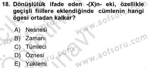 Türkçe Biçim Bilgisi Dersi 2024 - 2025 Yılı Yaz Okulu Sınav Soruları 18. Soru
