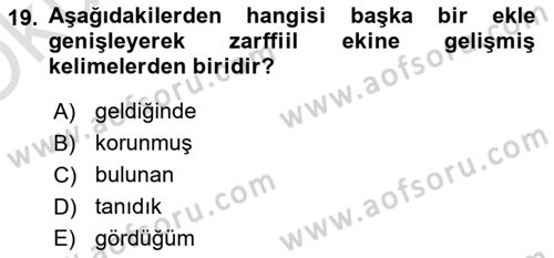 Türkçe Biçim Bilgisi Dersi 2024 - 2025 Yılı Yaz Okulu Sınav Soruları 19. Soru