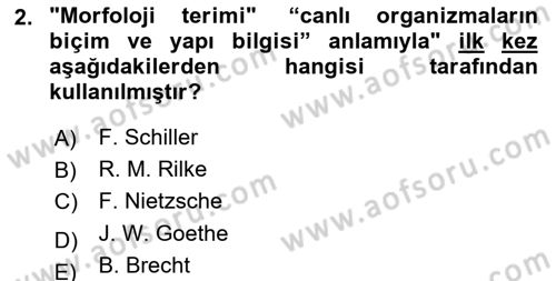 Türkçe Biçim Bilgisi Dersi 2024 - 2025 Yılı Yaz Okulu Sınav Soruları 2. Soru