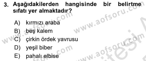 Türkçe Biçim Bilgisi Dersi 2024 - 2025 Yılı Yaz Okulu Sınav Soruları 3. Soru