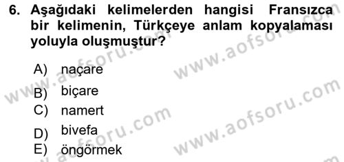 Türkçe Biçim Bilgisi Dersi 2024 - 2025 Yılı Yaz Okulu Sınav Soruları 6. Soru