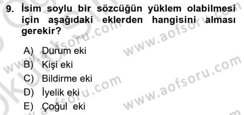Türkçe Biçim Bilgisi Dersi 2024 - 2025 Yılı Yaz Okulu Sınav Soruları 9. Soru