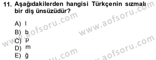 Osmanlı Türkçesine Giriş 1 Dersi 2014 - 2015 Yılı (Vize) Ara Sınav Soruları 11. Soru