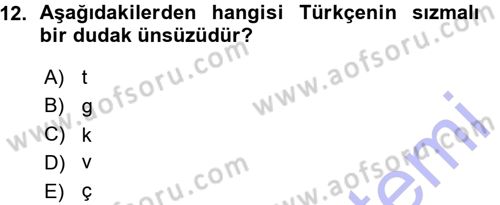 Osmanlı Türkçesine Giriş 1 Dersi 2015 - 2016 Yılı (Vize) Ara Sınav Soruları 12. Soru