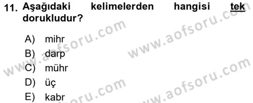 Osmanlı Türkçesine Giriş 1 Dersi 2015 - 2016 Yılı (Final) Dönem Sonu Sınav Soruları 11. Soru