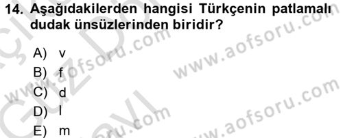 Osmanlı Türkçesine Giriş 1 Dersi 2016 - 2017 Yılı (Vize) Ara Sınav Soruları 14. Soru