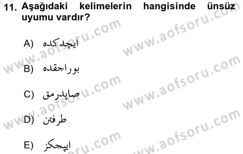 Osmanlı Türkçesine Giriş 1 Dersi 2016 - 2017 Yılı (Final) Dönem Sonu Sınav Soruları 11. Soru