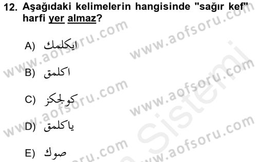 Osmanlı Türkçesine Giriş 1 Dersi 2016 - 2017 Yılı (Final) Dönem Sonu Sınav Soruları 12. Soru
