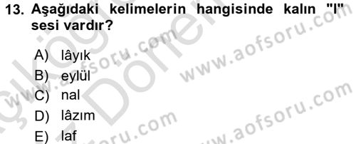Osmanlı Türkçesine Giriş 1 Dersi 2017 - 2018 Yılı (Vize) Ara Sınav Soruları 13. Soru