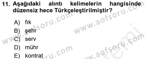 Osmanlı Türkçesine Giriş 1 Dersi 2017 - 2018 Yılı (Final) Dönem Sonu Sınav Soruları 11. Soru